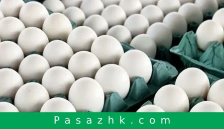 بیش از ۱۳ هزار تن تخم مرغ به کشورهای همسایه صادر شد, اخبار کشاورزی, پاساژ کشاورز