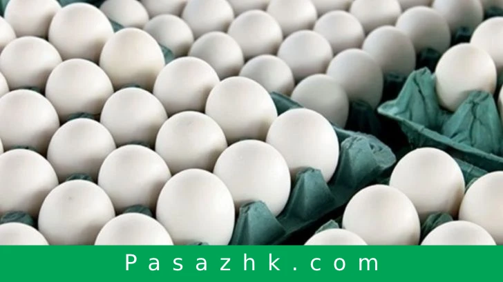 بیش از ۱۳ هزار تن تخم مرغ به کشورهای همسایه صادر شد, اخبار کشاورزی, پاساژ کشاورز