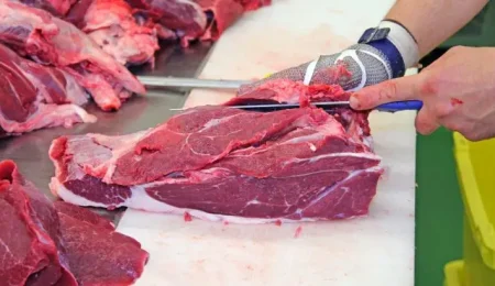 اخبار, اخبار کشاورزی, اخبار پاساژ کشاورز, واردات گوشت گرم, قائم مقام وزیر جهاد کشاورزی, پشتیبانی امور دام, صادرات تخم مرغ, حجم واردات گوشت بی‌سابقه است, واردات گوشت آفریقایی و تانزانیایی به ایران, عرضه گوشت‌های گرم وارداتی به شیوه جدید, پایان صدرنشینی قیمت گوشت قرمز با واردات از 8 کشور, آغاز واردات گوشت گرم گوسفندی و گوساله از آفریقای جنوبی