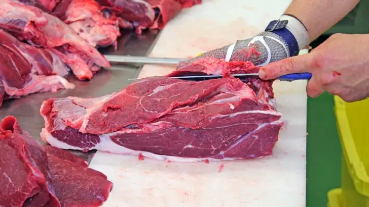 اخبار, اخبار کشاورزی, اخبار پاساژ کشاورز, واردات گوشت گرم, قائم مقام وزیر جهاد کشاورزی, پشتیبانی امور دام, صادرات تخم مرغ, حجم واردات گوشت بی‌سابقه است, واردات گوشت آفریقایی و تانزانیایی به ایران, عرضه گوشت‌های گرم وارداتی به شیوه جدید, پایان صدرنشینی قیمت گوشت قرمز با واردات از 8 کشور, آغاز واردات گوشت گرم گوسفندی و گوساله از آفریقای جنوبی