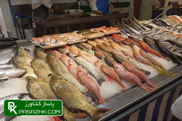 ایجاد بازارچههای تخصصی آبزیان در ۱۰ تا ۱۲ کلانشهر 1 d8a7db8cd8acd8a7d8af d8a8d8a7d8b2d8a7d8b1da86d987d987d8a7db8c d8aad8aed8b5d8b5db8c d8a2d8a8d8b2db8cd8a7d986 d8afd8b1 dbb1dbb0 665738ebf0021, ایجاد بازارچههای تخصصی آبزیان در ۱۰ تا ۱۲ کلانشهر, پاساژ کشاورز | بازار بزرگ کشاورزی در ایران, اخبار پاساژ کشاورز, ,