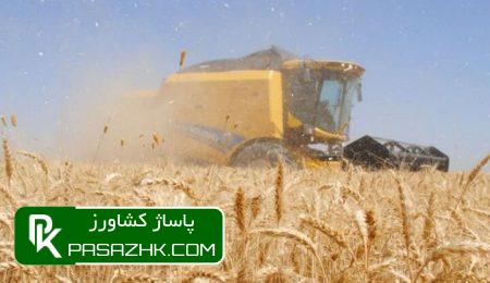 ایران امسال هم در تولید گندم خودکفا است 7 d8a7db8cd8b1d8a7d986 d8a7d985d8b3d8a7d984 d987d985 d8afd8b1 d8aad988d984db8cd8af daafd986d8afd985 d8aed988d8afdaa9d981d8a7 d8a7d8b3d8aa 6659aa3cc4899, ایران امسال هم در تولید گندم خودکفا است, پاساژ کشاورز | بازار بزرگ کشاورزی در ایران, اخبار پاساژ کشاورز, ,
