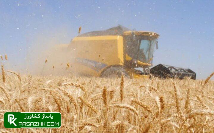 d8a7db8cd8b1d8a7d986 d8a7d985d8b3d8a7d984 d987d985 d8afd8b1 d8aad988d984db8cd8af daafd986d8afd985 d8aed988d8afdaa9d981d8a7 d8a7d8b3d8aa 6659aa3cc4899, ایران امسال هم در تولید گندم خودکفا است, پاساژ کشاورز | بازار بزرگ کشاورزی در ایران, اخبار پاساژ کشاورز, ,