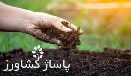 ایران در تربیت «خاکشناس» رتبه دوم جهان را دارد 4 d8a7db8cd8b1d8a7d986 d8afd8b1 d8aad8b1d8a8db8cd8aa d8aed8a7daa9d8b4d986d8a7d8b3 d8b1d8aad8a8d987 d8afd988d985 d8acd987 66542b1e3b97b, ایران در تربیت «خاکشناس» رتبه دوم جهان را دارد, پاساژ کشاورز | بازار بزرگ کشاورزی در ایران, اخبار پاساژ کشاورز, ,