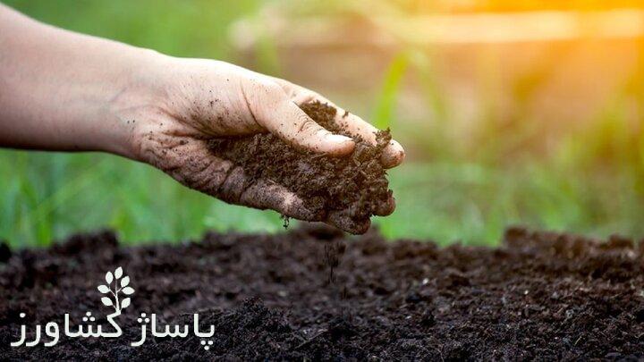 ایران در تربیت «خاکشناس» رتبه دوم جهان را دارد 1 d8a7db8cd8b1d8a7d986 d8afd8b1 d8aad8b1d8a8db8cd8aa d8aed8a7daa9d8b4d986d8a7d8b3 d8b1d8aad8a8d987 d8afd988d985 d8acd987 66542b1e3b97b, ایران در تربیت «خاکشناس» رتبه دوم جهان را دارد, پاساژ کشاورز | بازار بزرگ کشاورزی در ایران, اخبار پاساژ کشاورز, ,