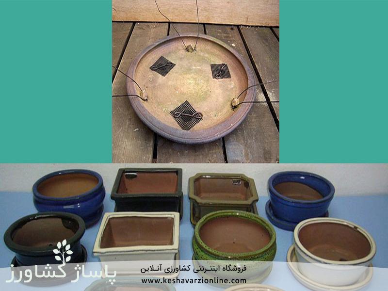 d8a8d987d8aad8b1db8cd986 d8b1d988d8b4 d9bed8b1d988d8b1d8b4 d988 d986daafd987d8afd8a7d8b1db8c d8a8d988d986d8b3d8a7db8c 6655473db5b69, بهترین روش پرورش و نگهداری بونسای, پاساژ کشاورز | بازار بزرگ کشاورزی در ایران, مقالات, بهترین روش پرورش و نگهداری بونسای, بهترین روش پرورش و نگهداری بونسای,پرورش بونسای