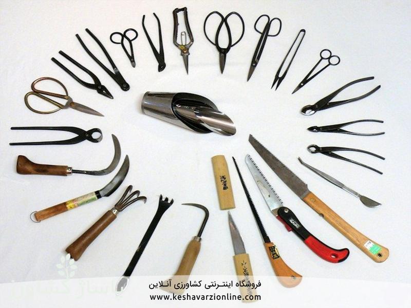 d8a8d987d8aad8b1db8cd986 d8b1d988d8b4 d9bed8b1d988d8b1d8b4 d988 d986daafd987d8afd8a7d8b1db8c d8a8d988d986d8b3d8a7db8c 6655473f518f7, بهترین روش پرورش و نگهداری بونسای, پاساژ کشاورز | بازار بزرگ کشاورزی در ایران, مقالات, بهترین روش پرورش و نگهداری بونسای, بهترین روش پرورش و نگهداری بونسای,پرورش بونسای