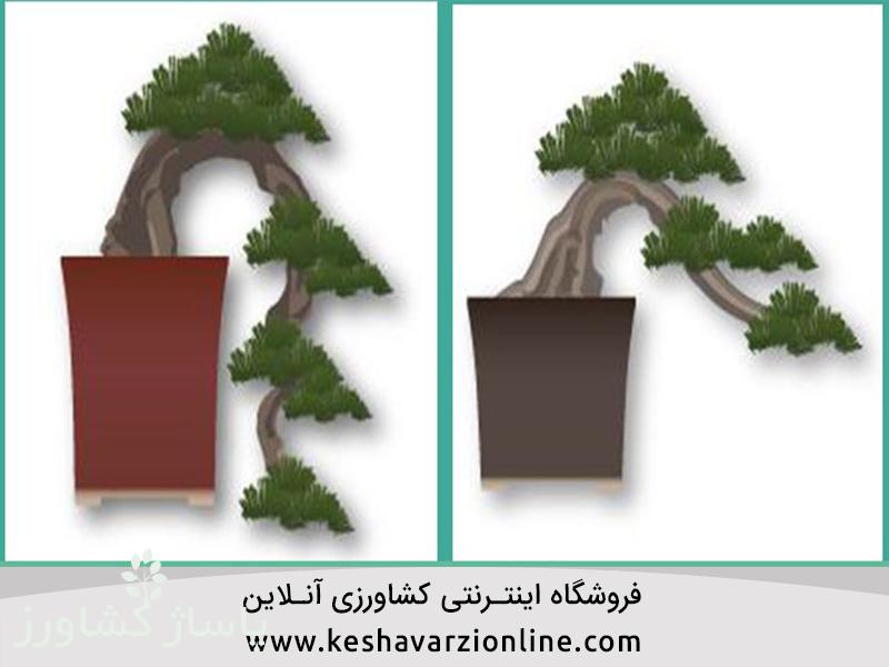 d8a8d987d8aad8b1db8cd986 d8b1d988d8b4 d9bed8b1d988d8b1d8b4 d988 d986daafd987d8afd8a7d8b1db8c d8a8d988d986d8b3d8a7db8c 66554741b1d7d, بهترین روش پرورش و نگهداری بونسای, پاساژ کشاورز | بازار بزرگ کشاورزی در ایران, مقالات, بهترین روش پرورش و نگهداری بونسای, بهترین روش پرورش و نگهداری بونسای,پرورش بونسای