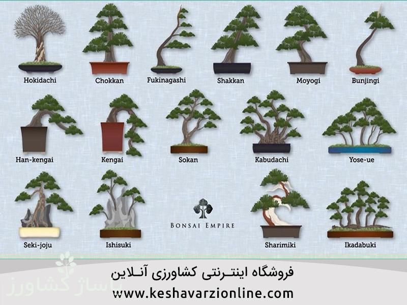 d8a8d987d8aad8b1db8cd986 d8b1d988d8b4 d9bed8b1d988d8b1d8b4 d988 d986daafd987d8afd8a7d8b1db8c d8a8d988d986d8b3d8a7db8c 6655474337d7c, بهترین روش پرورش و نگهداری بونسای, پاساژ کشاورز | بازار بزرگ کشاورزی در ایران, مقالات, بهترین روش پرورش و نگهداری بونسای, بهترین روش پرورش و نگهداری بونسای,پرورش بونسای
