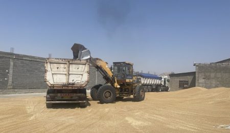 d8a8db8cd8b4 d8a7d8b2 dbb1 dbb4 d985db8cd984db8cd988d986 d8aad986 daafd986d8afd985 d8afd8b1 d8aed988d8b2d8b3d8aad8a7d986 d8aed8b1db8c 6653cef8119b4, بیش از ۱.۴ میلیون تن گندم در خوزستان خریداری شد, پاساژ کشاورز | بازار بزرگ کشاورزی در ایران, اخبار پاساژ کشاورز, ,