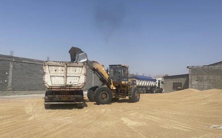 d8a8db8cd8b4 d8a7d8b2 dbb1 dbb4 d985db8cd984db8cd988d986 d8aad986 daafd986d8afd985 d8afd8b1 d8aed988d8b2d8b3d8aad8a7d986 d8aed8b1db8c 6653cef8119b4, بیش از ۱.۴ میلیون تن گندم در خوزستان خریداری شد, پاساژ کشاورز | بازار بزرگ کشاورزی در ایران, اخبار پاساژ کشاورز, ,