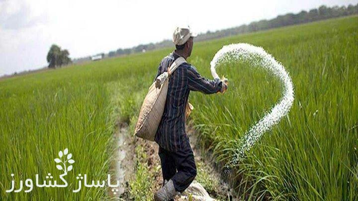 بیش از ۳ هزار تن انواع کودهای یارانهدار تامین و توزیع شد 1 d8a8db8cd8b4 d8a7d8b2 dbb3 d987d8b2d8a7d8b1 d8aad986 d8a7d986d988d8a7d8b9 daa9d988d8afd987d8a7db8c db8cd8a7d8b1d8a7d986d987d8af 665463fa2dc85, بیش از ۳ هزار تن انواع کودهای یارانهدار تامین و توزیع شد, پاساژ کشاورز | بازار بزرگ کشاورزی در ایران, اخبار پاساژ کشاورز, ,