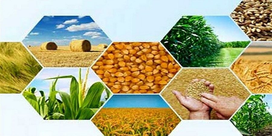 d8aad988d984db8cd8af d8b3d8a7d984d8a7d986d987 dbb2dbb5 d985db8cd984db8cd988d986 d8aad986 d985d8add8b5d988d984d8a7d8aa d8a8d8a7d8badb8c 6650d5e18f732, تولید سالانه ۲۵ میلیون تن محصولات باغی در کشور, پاساژ کشاورز | بازار بزرگ کشاورزی در ایران, اخبار پاساژ کشاورز, ,