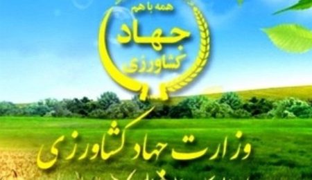 خرید تضمینی محصولات کشاورزی ۱۲۹ درصد افزایش یافت 9 d8aed8b1db8cd8af d8aad8b6d985db8cd986db8c d985d8add8b5d988d984d8a7d8aa daa9d8b4d8a7d988d8b1d8b2db8c dbb1dbb2dbb9 d8afd8b1d8b5d8af d8a7 66501e3a27ec4, خرید تضمینی محصولات کشاورزی ۱۲۹ درصد افزایش یافت, پاساژ کشاورز | بازار بزرگ کشاورزی در ایران, اخبار پاساژ کشاورز, ,