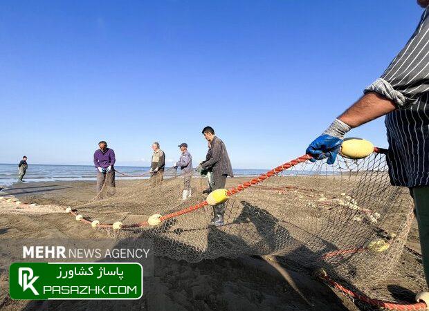 صید ماهی حلوا سفید در آبهای خوزستان ممنوع شد 1 d8b5db8cd8af d985d8a7d987db8c d8add984d988d8a7 d8b3d981db8cd8af d8afd8b1 d8a2d8a8d987d8a7db8c d8aed988d8b2d8b3d8aad8a7d986 d985 6656fa8a54392, صید ماهی حلوا سفید در آبهای خوزستان ممنوع شد, پاساژ کشاورز | بازار بزرگ کشاورزی در ایران, اخبار پاساژ کشاورز, ,