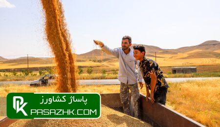 مطالبات گندمکاران خوزستانی به زودی پرداخت می شود 3 d985d8b7d8a7d984d8a8d8a7d8aa daafd986d8afd985daa9d8a7d8b1d8a7d986 d8aed988d8b2d8b3d8aad8a7d986db8c d8a8d987 d8b2d988d8afdb8c d9bed8b1 665729c1bb5be, مطالبات گندمکاران خوزستانی به زودی پرداخت می شود, پاساژ کشاورز | بازار بزرگ کشاورزی در ایران, اخبار پاساژ کشاورز, ,