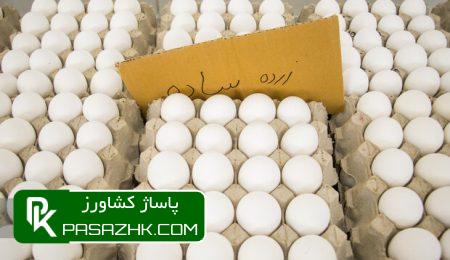 d985d985d986d988d8b9db8cd8aa d8b5d8a7d8afd8b1d8a7d8aa d8aad8aed985d985d8b1d8ba d8a8d987 d8b9d8b1d8a7d982 d8aadaa9d8b0db8cd8a8 6659b7c738522, ممنوعیت صادرات تخم‌مرغ به عراق تکذیب شد, پاساژ کشاورز | بازار بزرگ کشاورزی در ایران, اخبار پاساژ کشاورز, ,