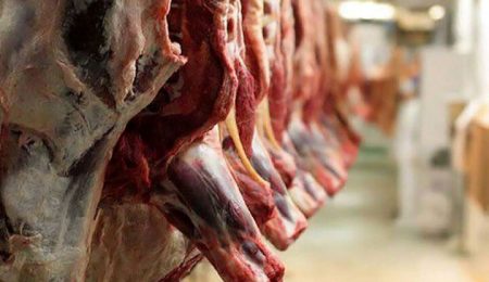 d988d8a7d8add8af d985d8aad8aed984d981 d8b9d8b1d8b6d987 d981d8b1d8a2d988d8b1d8afd987d987d8a7db8c d8aed8a7d985 d8afd8a7d985db8c 6653ce9011af3, واحد متخلف عرضه فرآورده‌های خام دامی در اردکان پلمب شد, پاساژ کشاورز | بازار بزرگ کشاورزی در ایران, اخبار پاساژ کشاورز, ,