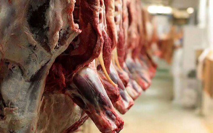 d988d8a7d8add8af d985d8aad8aed984d981 d8b9d8b1d8b6d987 d981d8b1d8a2d988d8b1d8afd987d987d8a7db8c d8aed8a7d985 d8afd8a7d985db8c 6653ce9011af3, واحد متخلف عرضه فرآورده‌های خام دامی در اردکان پلمب شد, پاساژ کشاورز | بازار بزرگ کشاورزی در ایران, اخبار پاساژ کشاورز, ,