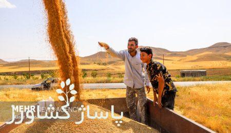 پرداخت مطالبات گندمکاران خوزستان تا هفته آینده/ کشاورزان گله مند 8 d9bed8b1d8afd8a7d8aed8aa d985d8b7d8a7d984d8a8d8a7d8aa daafd986d8afd985daa9d8a7d8b1d8a7d986 d8aed988d8b2d8b3d8aad8a7d986 d8aad8a7 d987 665583839993d, پرداخت مطالبات گندمکاران خوزستان تا هفته آینده/ کشاورزان گله مند, پاساژ کشاورز | بازار بزرگ کشاورزی در ایران, اخبار کشاورزی, ,