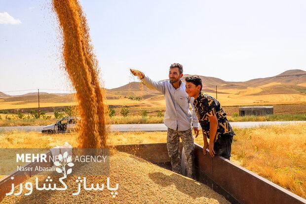 پرداخت مطالبات گندمکاران خوزستان تا هفته آینده/ کشاورزان گله مند 1 d9bed8b1d8afd8a7d8aed8aa d985d8b7d8a7d984d8a8d8a7d8aa daafd986d8afd985daa9d8a7d8b1d8a7d986 d8aed988d8b2d8b3d8aad8a7d986 d8aad8a7 d987 665583839993d, پرداخت مطالبات گندمکاران خوزستان تا هفته آینده/ کشاورزان گله مند, پاساژ کشاورز | بازار بزرگ کشاورزی در ایران, اخبار پاساژ کشاورز, ,