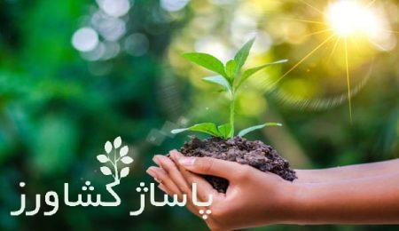 چالشهای طرح مردمی کاشت یک میلیارد درخت بررسی میشود 15 da86d8a7d984d8b4d987d8a7db8c d8b7d8b1d8ad d985d8b1d8afd985db8c daa9d8a7d8b4d8aa db8cdaa9 d985db8cd984db8cd8a7d8b1d8af d8afd8b1 66544e63d3057, چالشهای طرح مردمی کاشت یک میلیارد درخت بررسی میشود, پاساژ کشاورز | بازار بزرگ کشاورزی در ایران, مقالات, روش نگهداری گیاه ژینورا, روش نگهداری گیاه ژینورا