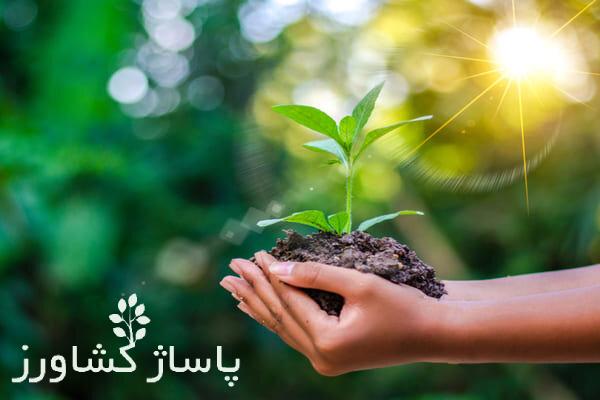 چالشهای طرح مردمی کاشت یک میلیارد درخت بررسی میشود 1 da86d8a7d984d8b4d987d8a7db8c d8b7d8b1d8ad d985d8b1d8afd985db8c daa9d8a7d8b4d8aa db8cdaa9 d985db8cd984db8cd8a7d8b1d8af d8afd8b1 66544e63d3057, چالشهای طرح مردمی کاشت یک میلیارد درخت بررسی میشود, پاساژ کشاورز | بازار بزرگ کشاورزی در ایران, اخبار پاساژ کشاورز, ,