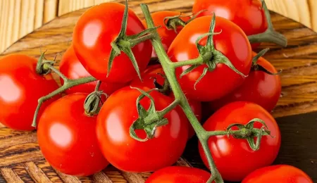 چگونه برداشت گوجه فرنگی را دو برابر کنیم, کمبود ازت در گوجه فرنگی, کمبود فسفر در گوجه فرنگی, نیاز آبی گوجه فرنگی, صادرات محصولات کشاورزی, پاساژ کشاورز, بازار بزرگ کشاورزی ایران, pasazhk, bbk-iran, دیوار