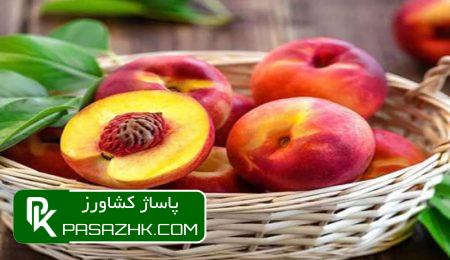 بهترین برنامه تغذیه هلو و شلیل برای باردهی پاساژ کشاورز, پاساژ, کشاورز, بازار بزرگ کشاورزی, سایت نیازمندی کشاورزی, بهترین برنامه تغذیه هلو و شلیل برای باردهی, برنامه کامل تغذیه شلیل - بهترین مقالات کشاورزی, برنامه غذایی شلیل, برنامه غذایی عمومی هسته دار ها(هلو،شلیل و....), بهترین برنامه تغذیه و کوددهی شلیل, بهترین کود و زمان کوددهی درختان شلیل, جدول برنامه غذایی شلیل, کود دهی درخت شلیل: معرفی انواع روش های کوددهی, برنامه تغذیه یکساله درخت هلو و شلیل, برنامه کودی هلو و شلیل ( زرشک - زعفران - پسته ), تغذیه کودی شلیل, برنامه غذایی درخت هلو, کلسیم برای شلیل, کود برای زودتر رسیدن میوه, کود برای درشت شدن میوه هلو, هورمون درشت کننده میوه, علت دوقلو شدن میوه هلو, سم کلسیم برای هلو, تقویم و برنامه کود دهی شلیل, برنامه غذایی درختان میوه هسته دار, راه های افزایش درشت شدن میوه هلو و شلیل, کود فروت ست برای شلیل و تاثیرات بینظیر آن, 9+1 راز موثر در کود دهی درختان شلیل, کود درخت شلیل, برنامه تغذیه و کوددهی درخت شلیل خدمت شما دوستان