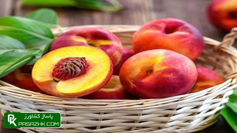 بهترین برنامه تغذیه هلو و شلیل برای باردهی پاساژ کشاورز, پاساژ, کشاورز, بازار بزرگ کشاورزی, سایت نیازمندی کشاورزی, بهترین برنامه تغذیه هلو و شلیل برای باردهی, برنامه کامل تغذیه شلیل - بهترین مقالات کشاورزی, برنامه غذایی شلیل, برنامه غذایی عمومی هسته دار ها(هلو،شلیل و....), بهترین برنامه تغذیه و کوددهی شلیل, بهترین کود و زمان کوددهی درختان شلیل, جدول برنامه غذایی شلیل, کود دهی درخت شلیل: معرفی انواع روش های کوددهی, برنامه تغذیه یکساله درخت هلو و شلیل, برنامه کودی هلو و شلیل ( زرشک - زعفران - پسته ), تغذیه کودی شلیل, برنامه غذایی درخت هلو, کلسیم برای شلیل, کود برای زودتر رسیدن میوه, کود برای درشت شدن میوه هلو, هورمون درشت کننده میوه, علت دوقلو شدن میوه هلو, سم کلسیم برای هلو, تقویم و برنامه کود دهی شلیل, برنامه غذایی درختان میوه هسته دار, راه های افزایش درشت شدن میوه هلو و شلیل, کود فروت ست برای شلیل و تاثیرات بینظیر آن, 9+1 راز موثر در کود دهی درختان شلیل, کود درخت شلیل, برنامه تغذیه و کوددهی درخت شلیل خدمت شما دوستان