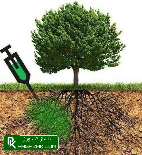 پاساژ کشاورز, پاساژ, کشاورز, بازار بزرگ کشاورزی, سایت نیازمندی کشاورزی, چالکود, چالکود چیست؟, چالکود درختان چیست, بهترین کود برای چالکود درختان + روش مصرف, زمان و روش چالکود درختان, همه چیز درباره روش و زمان مناسب چالکود درختان مختلف, آموزش اصول کامل چالکود درختان, صفر تا 100 چالکود اصولی در درختان میوه, مکان مناسب چالکود درختان و نحوه استفاده کودهای دامی, چالکود چیست ؟ زمان صحیح چالکود و نحوه صحیح چالکود, کود چالکود درخت میوه و مرکبات پالیز, همه چیز درباره چالکود (ویدیو + توضیحات کامل + خرید کود مناسب), فرمول چالکود, بهترین کود برای چالکود درختان میوه, بهترین زمان چالکود درختان, چالکود بهاره, فاصله چالکود از تنه درخت, کود مخصوص چالکود زمستانه, چالکود درخت انگور, کود چالکود دیجی کالا