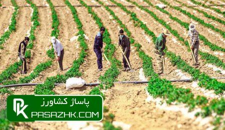 آییننامه حمایت از گروههای مردمی اشتغالآفرین ابلاغ شد 1 d8a2db8cdb8cd986d986d8a7d985d987 d8add985d8a7db8cd8aa d8a7d8b2 daafd8b1d988d987d987d8a7db8c d985d8b1d8afd985db8c d8a7d8b4 667917c743e6b, آییننامه حمایت از گروههای مردمی اشتغالآفرین ابلاغ شد, پاساژ کشاورز | بازار بزرگ کشاورزی در ایران, اخبار پاساژ کشاورز, ,