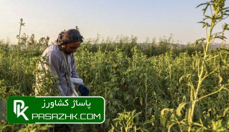 استعلامات بخش کشاورزی کاهش یافت 5 d8a7d8b3d8aad8b9d984d8a7d985d8a7d8aa d8a8d8aed8b4 daa9d8b4d8a7d988d8b1d8b2db8c daa9d8a7d987d8b4 db8cd8a7d981d8aa 66799d5895a7f, استعلامات بخش کشاورزی کاهش یافت, پاساژ کشاورز | بازار بزرگ کشاورزی در ایران, اخبار پاساژ کشاورز, ,