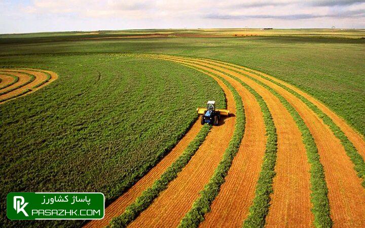 اعلام آمادگی موسسه جهاد نصر برای توسعه کشت فراسرزمینی 1 d8a7d8b9d984d8a7d985 d8a2d985d8a7d8afdaafdb8c d985d988d8b3d8b3d987 d8acd987d8a7d8af d986d8b5d8b1 d8a8d8b1d8a7db8c d8aad988d8b3d8b9d987 6676929c1a536, اعلام آمادگی موسسه جهاد نصر برای توسعه کشت فراسرزمینی, پاساژ کشاورز | بازار بزرگ کشاورزی در ایران, اخبار پاساژ کشاورز, ,