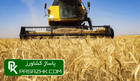 افزایش تولید گندم با راهبرد حداکثرسازی تولید 4 d8a7d981d8b2d8a7db8cd8b4 d8aad988d984db8cd8af daafd986d8afd985 d8a8d8a7 d8b1d8a7d987d8a8d8b1d8af d8add8afd8a7daa9d8abd8b1d8b3d8a7d8b2 66754243367d8, افزایش تولید گندم با راهبرد حداکثرسازی تولید, پاساژ کشاورز | بازار بزرگ کشاورزی در ایران, اخبار پاساژ کشاورز, ,