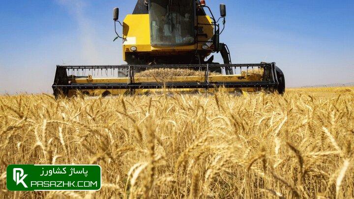 افزایش تولید گندم با راهبرد حداکثرسازی تولید 1 d8a7d981d8b2d8a7db8cd8b4 d8aad988d984db8cd8af daafd986d8afd985 d8a8d8a7 d8b1d8a7d987d8a8d8b1d8af d8add8afd8a7daa9d8abd8b1d8b3d8a7d8b2 66754243367d8, افزایش تولید گندم با راهبرد حداکثرسازی تولید, پاساژ کشاورز | بازار بزرگ کشاورزی در ایران, اخبار پاساژ کشاورز, ,