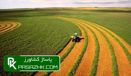 اولویتهای بخش کشاورزی؛ از تدوین قانون مستقل تا تولید تجاری 1 d8a7d988d984d988db8cd8aad987d8a7db8c d8a8d8aed8b4 daa9d8b4d8a7d988d8b1d8b2db8cd89b d8a7d8b2 d8aad8afd988db8cd986 d982d8a7d986d988 66668f74aefd8, اولویتهای بخش کشاورزی؛ از تدوین قانون مستقل تا تولید تجاری, پاساژ کشاورز | بازار بزرگ کشاورزی در ایران, اخبار پاساژ کشاورز, ,