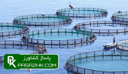 d8a8d8aed8b4db8c d8a7d8b2 d8a7d985d988d8b1 d8aad8b5d8afdb8cdaafd8b1db8c d8a2d8a8d8b2db8cd9bed8b1d988d8b1db8c d8a8d987 d8aa 66767be8c099a, بخشی از امور تصدی‌گری آبزی‌پروری به تشکل‌ها واگذار شد, پاساژ کشاورز | بازار بزرگ کشاورزی در ایران, اخبار پاساژ کشاورز, ,