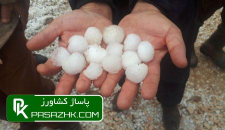 بسته حمایتی از باغداران دامغانی تهیه شد/ اجرای سامانههای ضد تگرگ 2 d8a8d8b3d8aad987 d8add985d8a7db8cd8aadb8c d8a7d8b2 d8a8d8a7d8bad8afd8a7d8b1d8a7d986 d8afd8a7d985d8bad8a7d986db8c d8aad987db8cd987 d8b4 665eae77b6deb, بسته حمایتی از باغداران دامغانی تهیه شد/ اجرای سامانههای ضد تگرگ, پاساژ کشاورز | بازار بزرگ کشاورزی در ایران, اخبار پاساژ کشاورز, ,