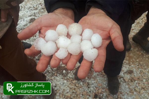 بسته حمایتی از باغداران دامغانی تهیه شد/ اجرای سامانههای ضد تگرگ 1 d8a8d8b3d8aad987 d8add985d8a7db8cd8aadb8c d8a7d8b2 d8a8d8a7d8bad8afd8a7d8b1d8a7d986 d8afd8a7d985d8bad8a7d986db8c d8aad987db8cd987 d8b4 665eae77b6deb, بسته حمایتی از باغداران دامغانی تهیه شد/ اجرای سامانههای ضد تگرگ, پاساژ کشاورز | بازار بزرگ کشاورزی در ایران, اخبار پاساژ کشاورز, ,