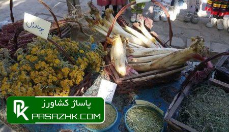 d8a8db8cd8b4 d8a7d8b2 dbb5dbb3d987d8b2d8a7d8b1 d987daa9d8aad8a7d8b1 d8a7d8b2 d8afdb8cd985d8b2d8a7d8b1d987d8a7 d8a8d987 daa9d8b4d8aa daaf 66797a6212cfc, بیش از ۵۳هزار هکتار از دیمزارها به کشت گیاهان دارویی اختصاص یافت, پاساژ کشاورز | بازار بزرگ کشاورزی در ایران, اخبار پاساژ کشاورز, ,
