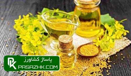 بیمهری نسبت به دانههای روغنی با وجود واردات حدود ۹۰ درصدی 3 d8a8db8cd985d987d8b1db8c d986d8b3d8a8d8aa d8a8d987 d8afd8a7d986d987d987d8a7db8c d8b1d988d8bad986db8c d8a8d8a7 d988d8acd988 66767bf1f0597, بیمهری نسبت به دانههای روغنی با وجود واردات حدود ۹۰ درصدی, پاساژ کشاورز | بازار بزرگ کشاورزی در ایران, اخبار پاساژ کشاورز, ,
