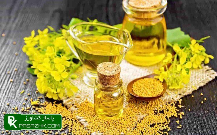 بیمهری نسبت به دانههای روغنی با وجود واردات حدود ۹۰ درصدی 1 d8a8db8cd985d987d8b1db8c d986d8b3d8a8d8aa d8a8d987 d8afd8a7d986d987d987d8a7db8c d8b1d988d8bad986db8c d8a8d8a7 d988d8acd988 66767bf1f0597, بیمهری نسبت به دانههای روغنی با وجود واردات حدود ۹۰ درصدی, پاساژ کشاورز | بازار بزرگ کشاورزی در ایران, اخبار پاساژ کشاورز, ,