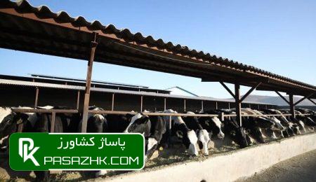 d8aad8a8db8cdb8cd986 d986d8b8d8b1db8cd987 d987d8a7db8c d8aad8a7d981d984d8b1 d988 daa9d8a7d8b3d8aad984d8b2 d8afd8b1 d8b5 665d5366d790d, تبیین نظریه های «تافلر» و «کاستلز» در صنعت دامپروری کشور, پاساژ کشاورز | بازار بزرگ کشاورزی در ایران, اخبار پاساژ کشاورز, ,