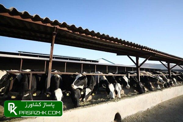 تبیین نظریه های «تافلر» و «کاستلز» در صنعت دامپروری کشور 1 d8aad8a8db8cdb8cd986 d986d8b8d8b1db8cd987 d987d8a7db8c d8aad8a7d981d984d8b1 d988 daa9d8a7d8b3d8aad984d8b2 d8afd8b1 d8b5 665d657cbe709, تبیین نظریه های «تافلر» و «کاستلز» در صنعت دامپروری کشور, پاساژ کشاورز | بازار بزرگ کشاورزی در ایران, اخبار پاساژ کشاورز, ,