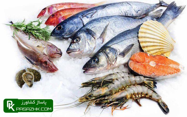 d8aad8acd8a7d8b1d8aa dbb6dbb5dbb0 d985db8cd984db8cd988d986 d8afd984d8a7d8b1db8c d8a2d8a8d8b2db8cd8a7d986 d8afd8b1 d8b3d8a7d984 dbb1dbb4 665ffc4ad63a2, تجارت ۶۵۰ میلیون دلاری آبزیان در سال ۱۴۰۲, پاساژ کشاورز | بازار بزرگ کشاورزی در ایران, اخبار پاساژ کشاورز, ,