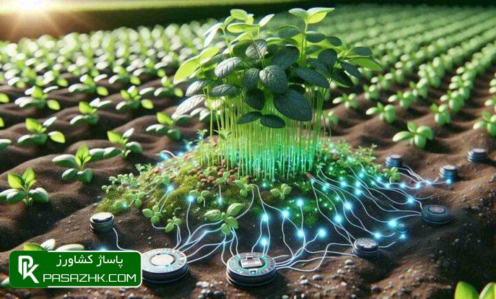 تدوین بیش از ۲۰ استانداردملی مرتبط با پرتودهی هستهای بخش کشاورزی 1 d8aad8afd988db8cd986 d8a8db8cd8b4 d8a7d8b2 dbb2dbb0 d8a7d8b3d8aad8a7d986d8afd8a7d8b1d8afd985d984db8c d985d8b1d8aad8a8d8b7 d8a8d8a7 d9be 666e9318b1531, تدوین بیش از ۲۰ استانداردملی مرتبط با پرتودهی هستهای بخش کشاورزی, پاساژ کشاورز | بازار بزرگ کشاورزی در ایران, اخبار پاساژ کشاورز, ,