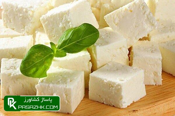 d8acd8b4d986d988d8a7d8b1d987 d9bed986db8cd8b1 d8a8d8b1daafd8b2d8a7d8b1 d985db8cd8b4d988d8af 666444686aaa3, جشنواره پنیر برگزار می‌شود, پاساژ کشاورز | بازار بزرگ کشاورزی در ایران, اخبار پاساژ کشاورز, ,