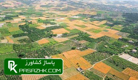 حدنگاری اراضی کشاورزی نیازمند همافزایی همه نهادهای متولی است 8 d8add8afd986daafd8a7d8b1db8c d8a7d8b1d8a7d8b6db8c daa9d8b4d8a7d988d8b1d8b2db8c d986db8cd8a7d8b2d985d986d8af d987d985d8a7d981d8b2 66669be6107d9, حدنگاری اراضی کشاورزی نیازمند همافزایی همه نهادهای متولی است, پاساژ کشاورز | بازار بزرگ کشاورزی در ایران, اخبار پاساژ کشاورز, ,