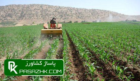 راه اندازی کشت و صنعت ها با اولویت شهرهای جنوبی خوزستان 5 d8b1d8a7d987 d8a7d986d8afd8a7d8b2db8c daa9d8b4d8aa d988 d8b5d986d8b9d8aa d987d8a7 d8a8d8a7 d8a7d988d984d988db8cd8aa d8b4d987d8b1d987d8a7 66688d3337e80, راه اندازی کشت و صنعت ها با اولویت شهرهای جنوبی خوزستان, پاساژ کشاورز | بازار بزرگ کشاورزی در ایران, اخبار پاساژ کشاورز, ,